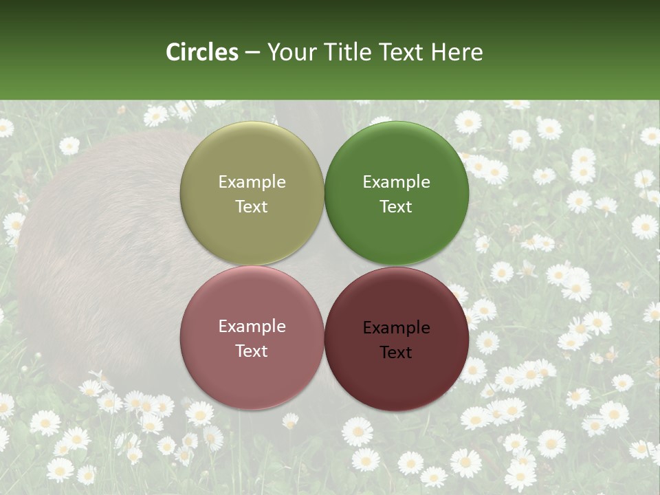 Remote Cool White PowerPoint Template