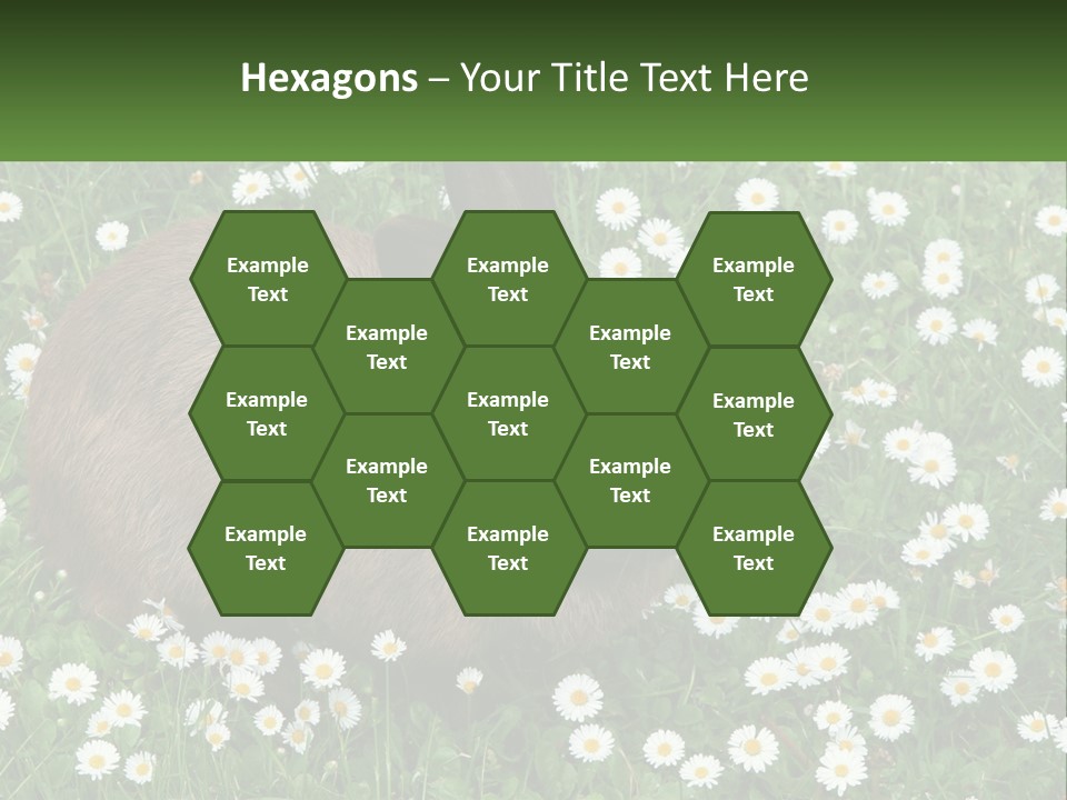 Remote Cool White PowerPoint Template