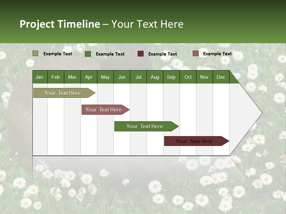Remote Cool White PowerPoint Template