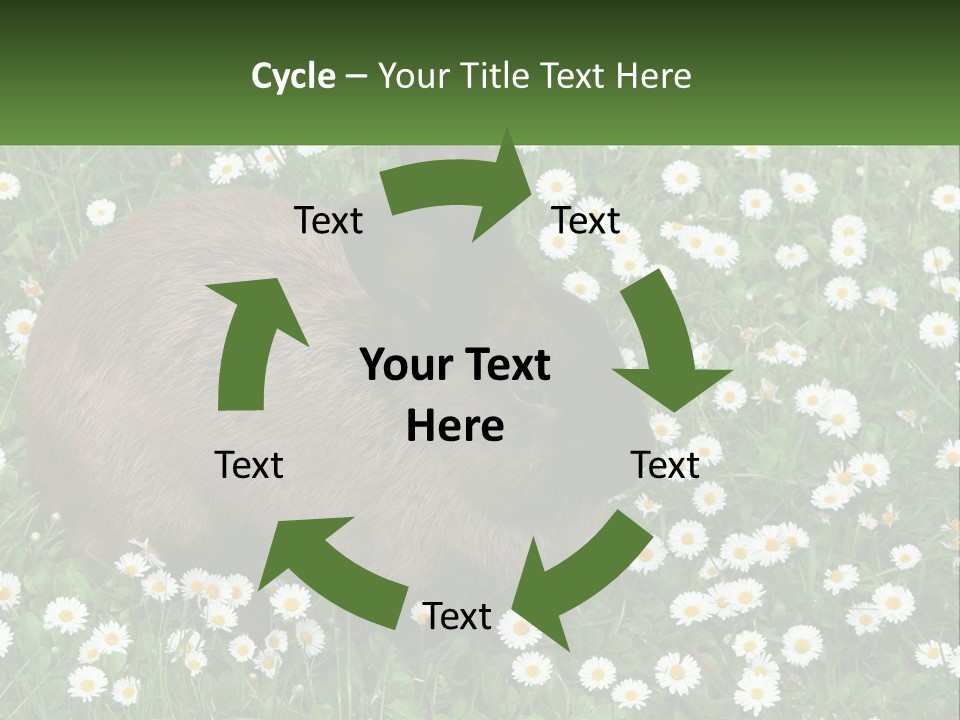 Remote Cool White PowerPoint Template