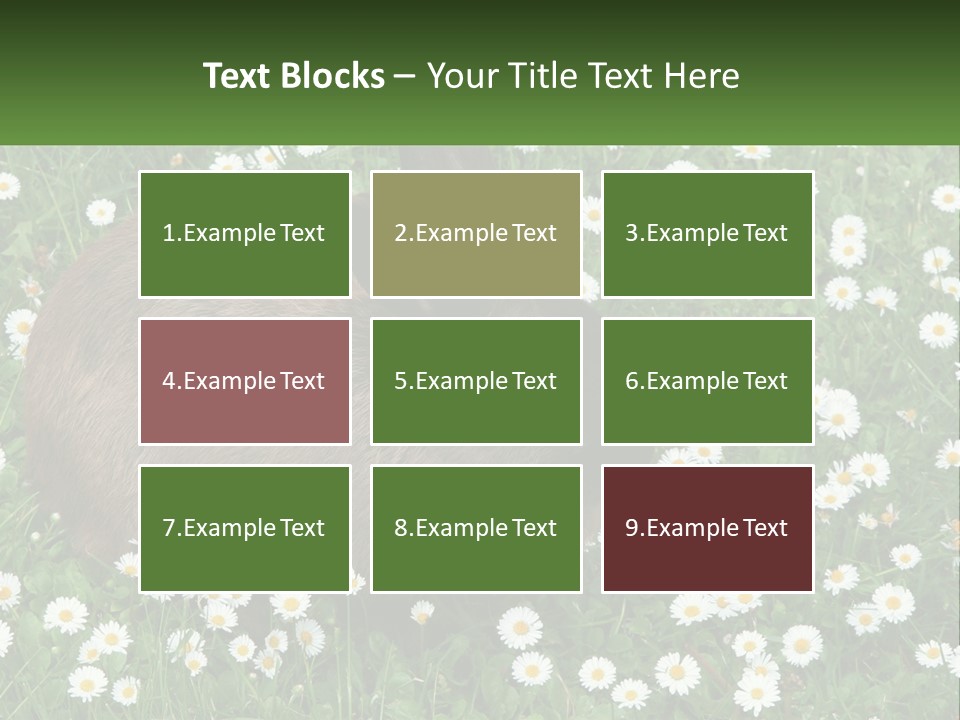 Remote Cool White PowerPoint Template