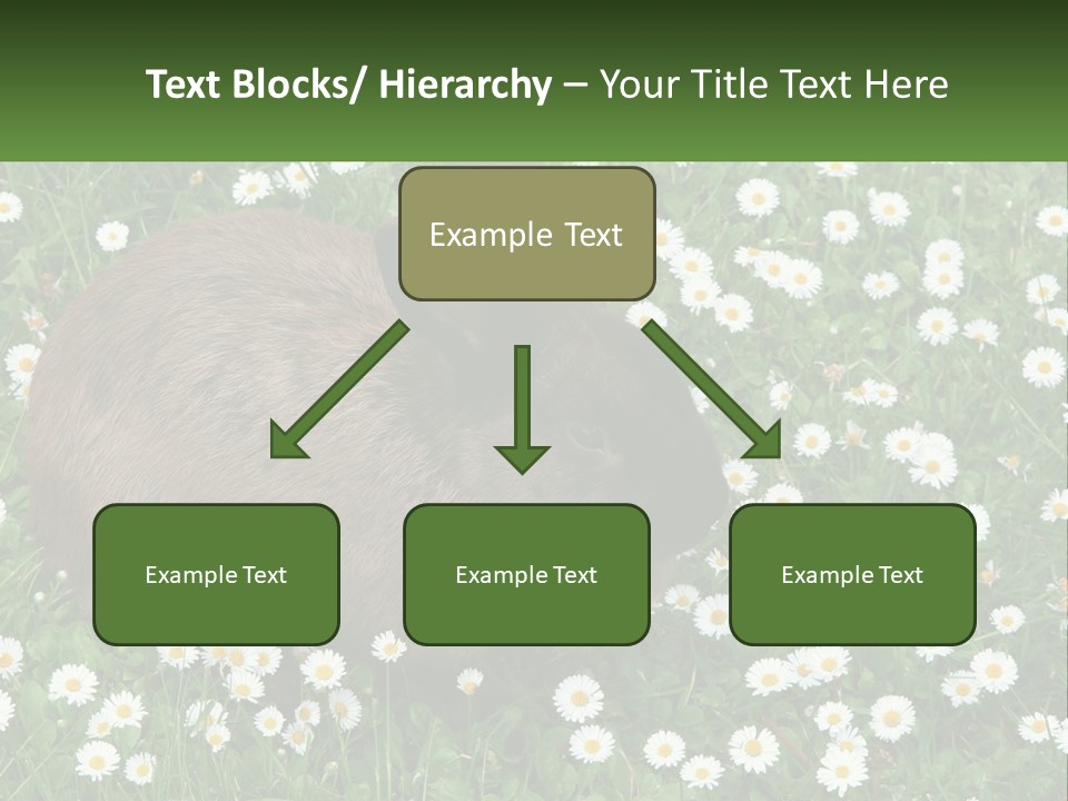 Remote Cool White PowerPoint Template