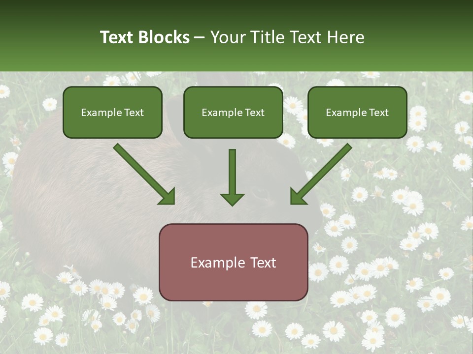 Remote Cool White PowerPoint Template