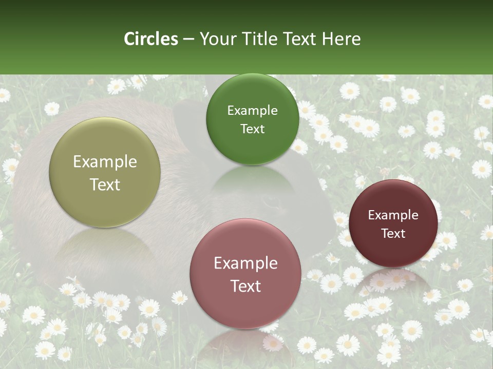 Remote Cool White PowerPoint Template