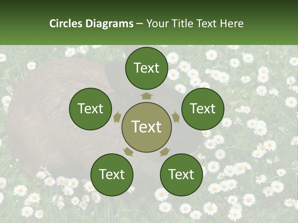 Remote Cool White PowerPoint Template