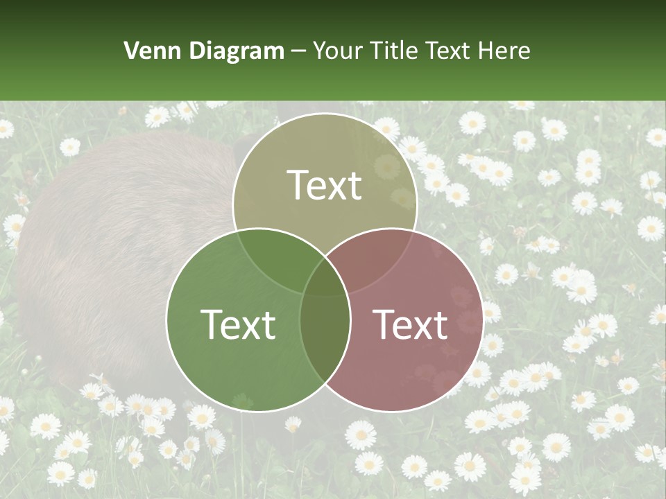 Remote Cool White PowerPoint Template