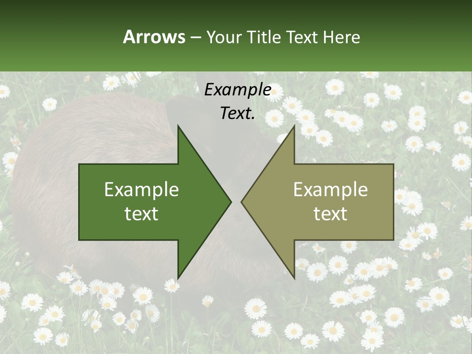 Remote Cool White PowerPoint Template