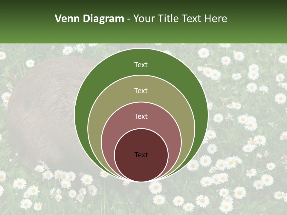 Remote Cool White PowerPoint Template