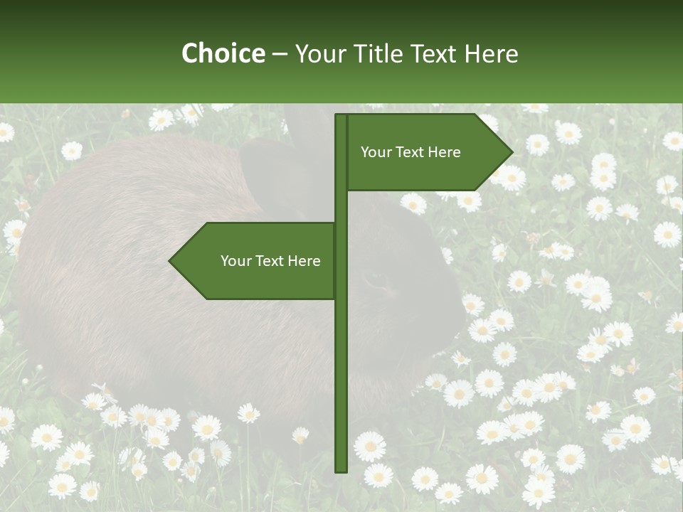 Remote Cool White PowerPoint Template