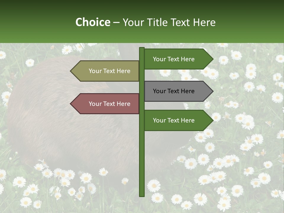 Remote Cool White PowerPoint Template