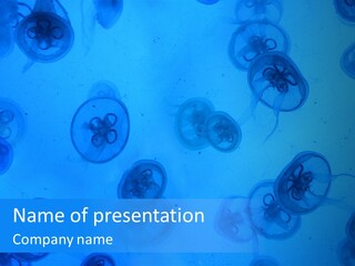 White Electric Condition PowerPoint Template