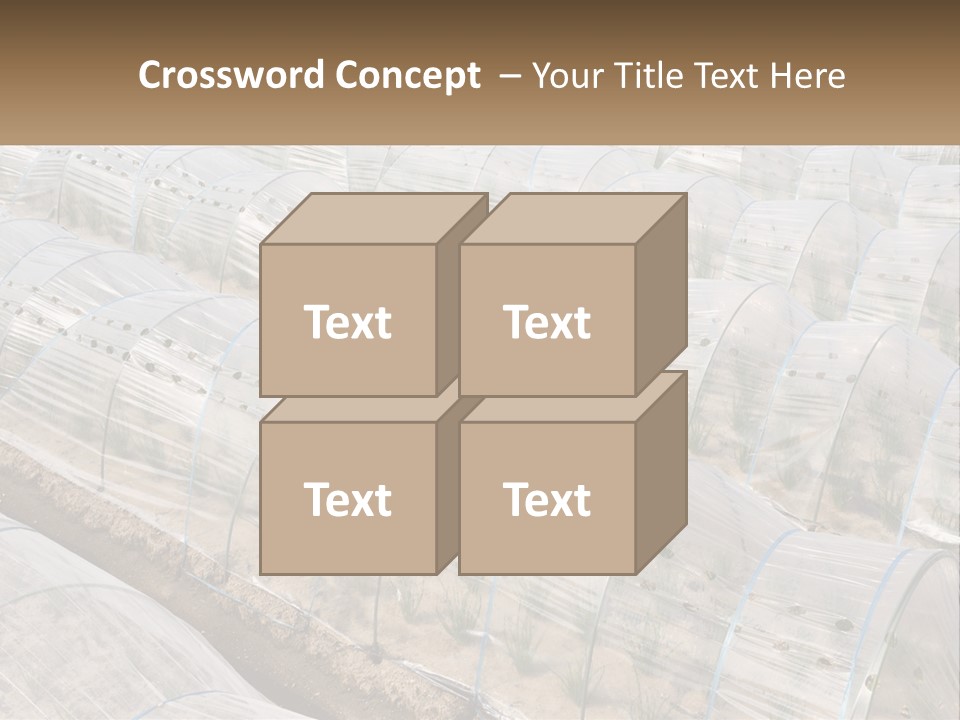 White Home Unit PowerPoint Template