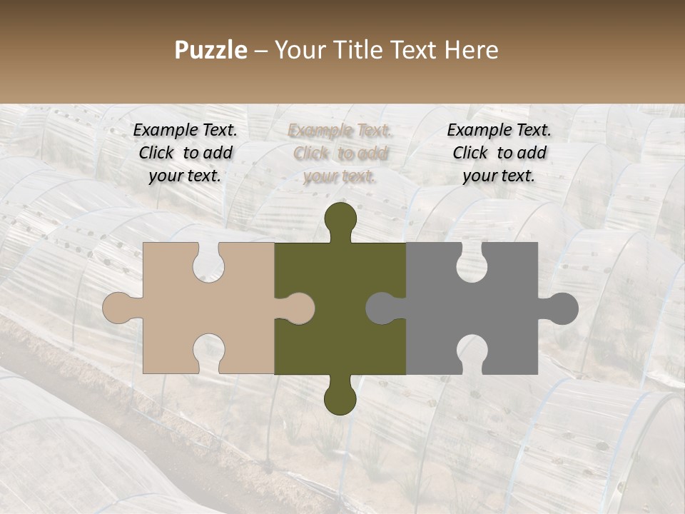 White Home Unit PowerPoint Template