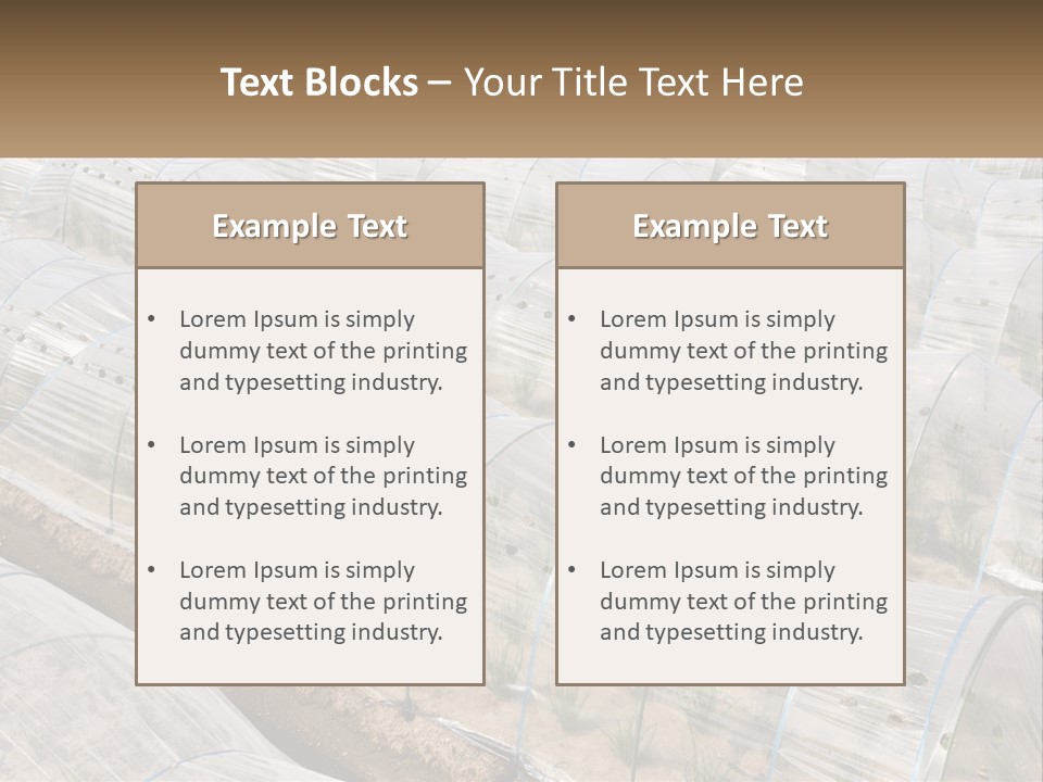 White Home Unit PowerPoint Template