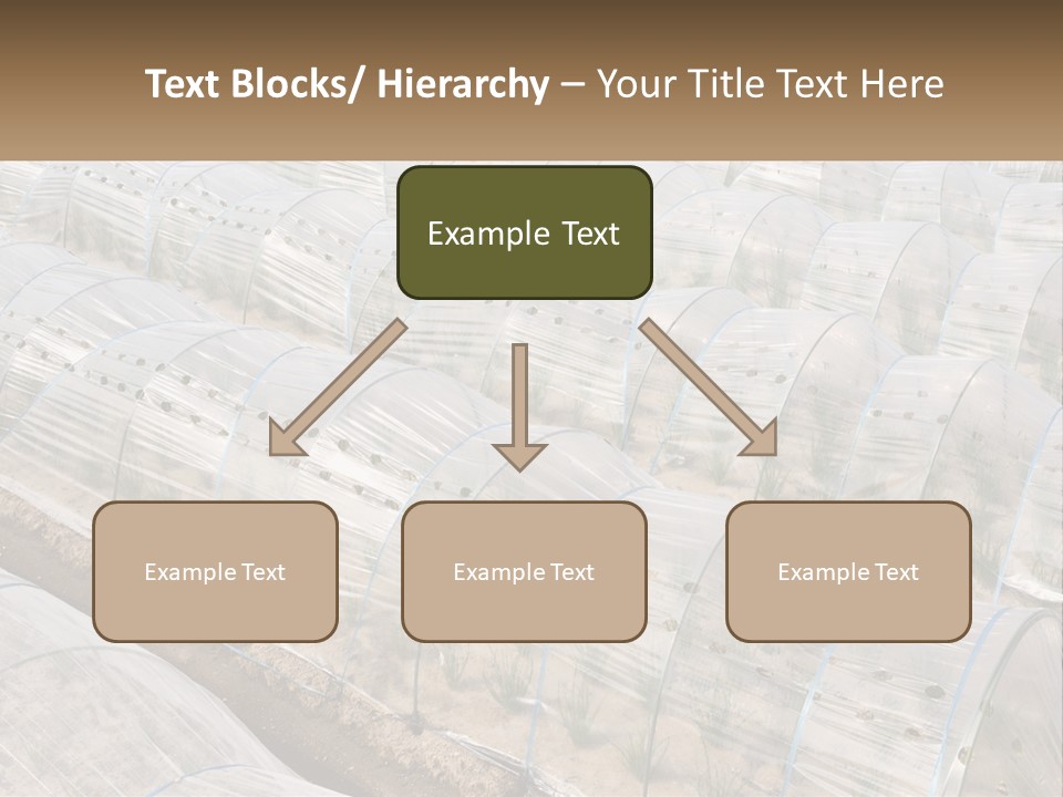 White Home Unit PowerPoint Template