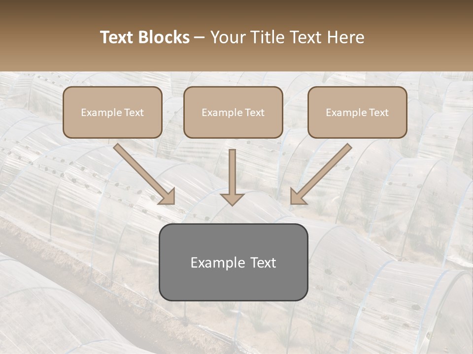 White Home Unit PowerPoint Template
