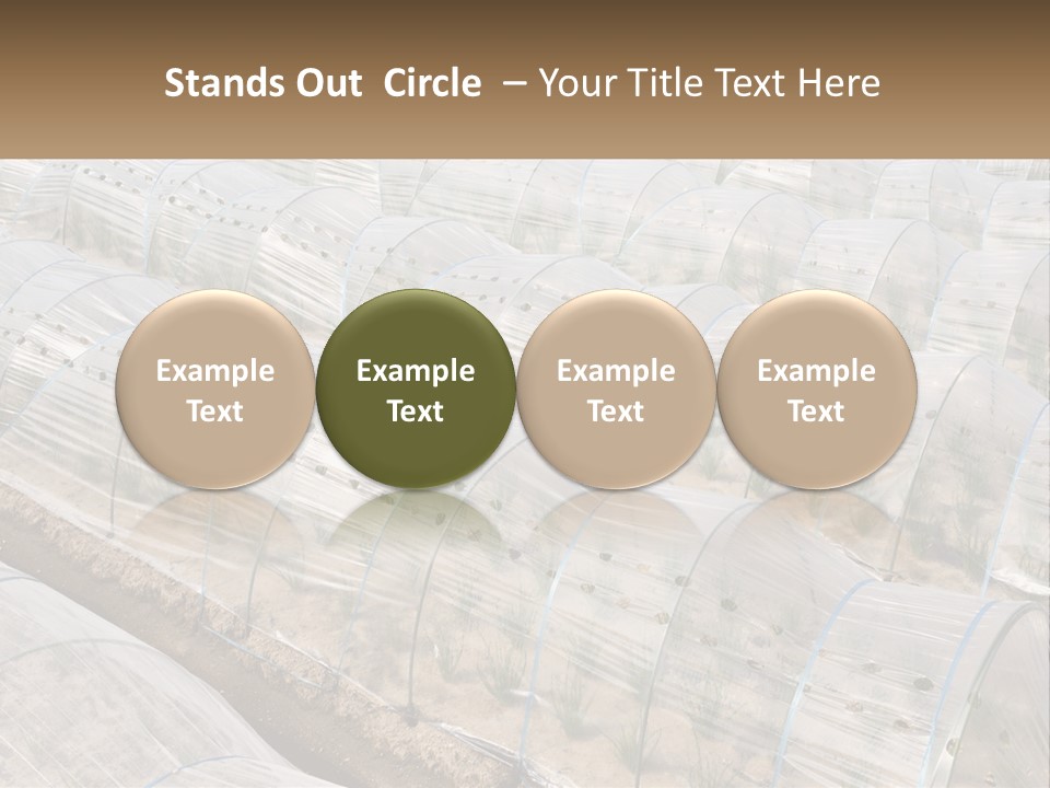 White Home Unit PowerPoint Template