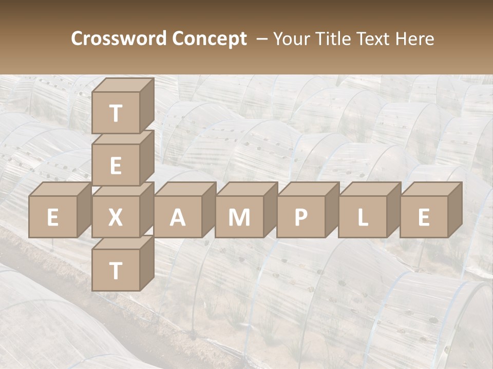 White Home Unit PowerPoint Template