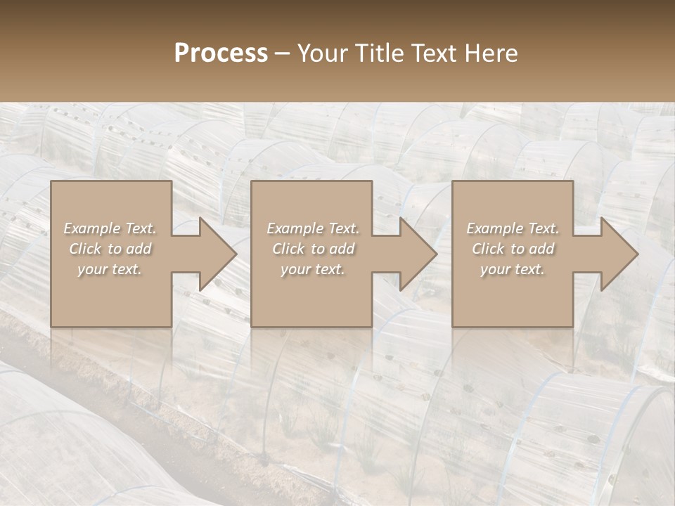 White Home Unit PowerPoint Template