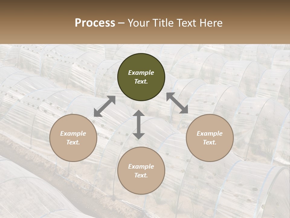 White Home Unit PowerPoint Template