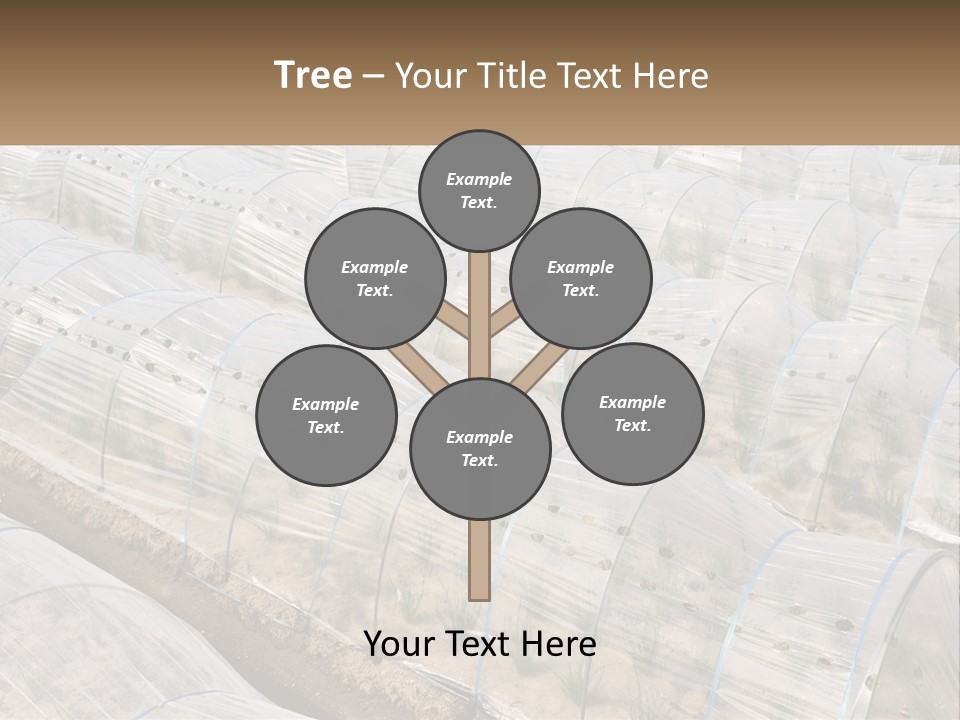 White Home Unit PowerPoint Template