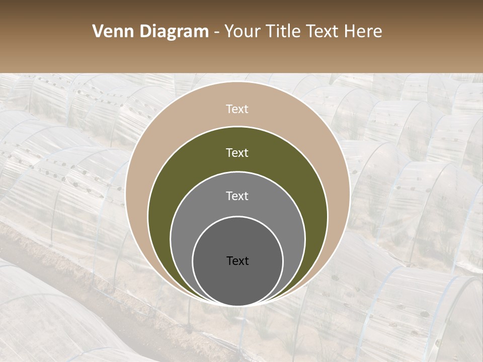 White Home Unit PowerPoint Template