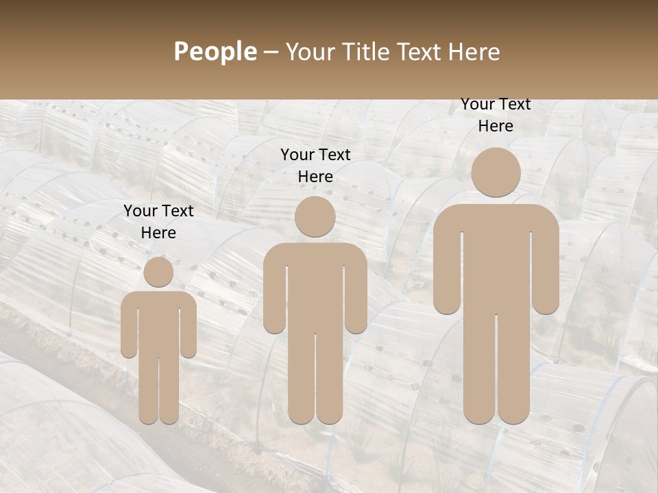 White Home Unit PowerPoint Template