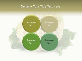 House Energy Unit PowerPoint Template