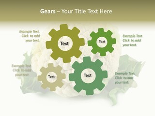 House Energy Unit PowerPoint Template