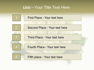 House Energy Unit PowerPoint Template