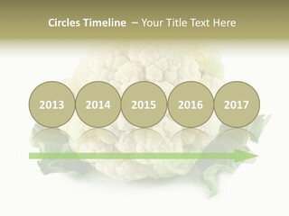 House Energy Unit PowerPoint Template