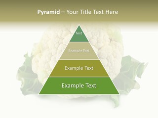 House Energy Unit PowerPoint Template