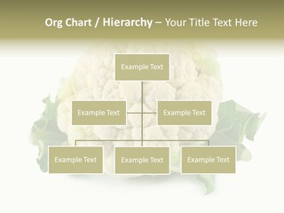 House Energy Unit PowerPoint Template