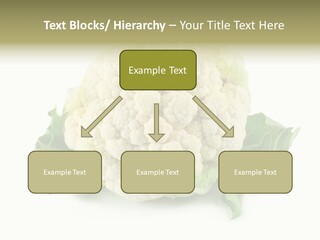 House Energy Unit PowerPoint Template