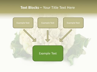 House Energy Unit PowerPoint Template