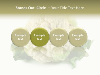 House Energy Unit PowerPoint Template