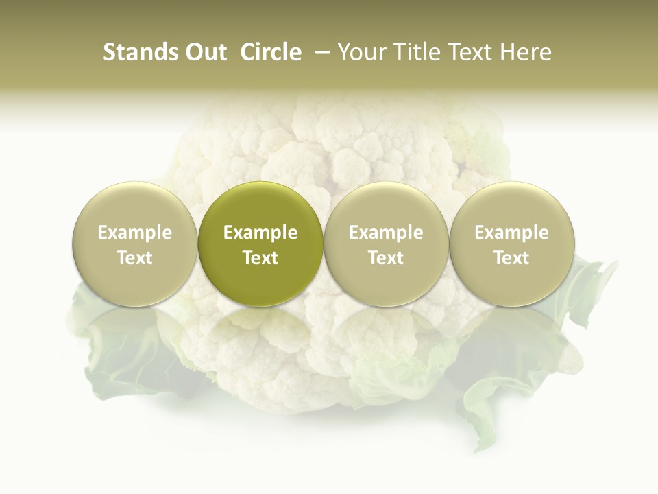 House Energy Unit PowerPoint Template