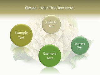 House Energy Unit PowerPoint Template