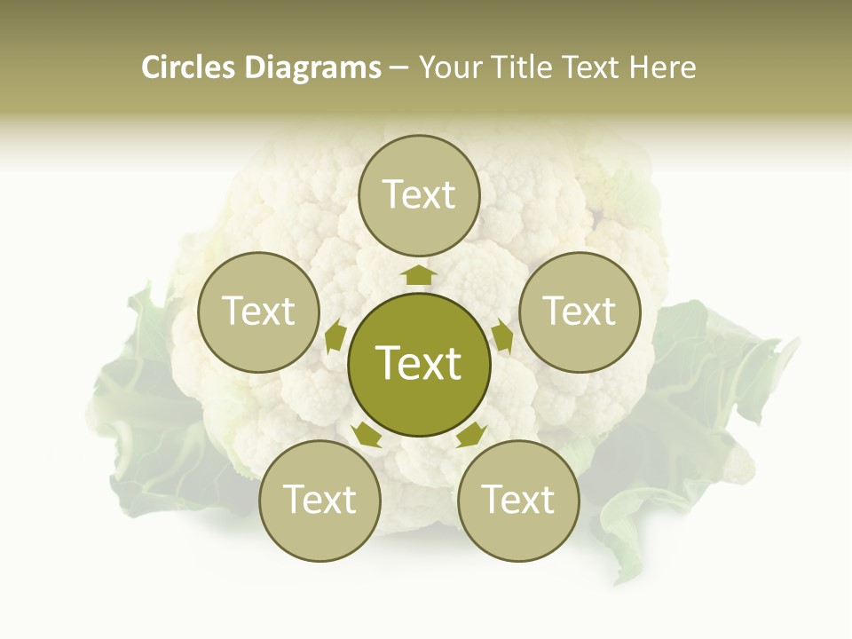 House Energy Unit PowerPoint Template