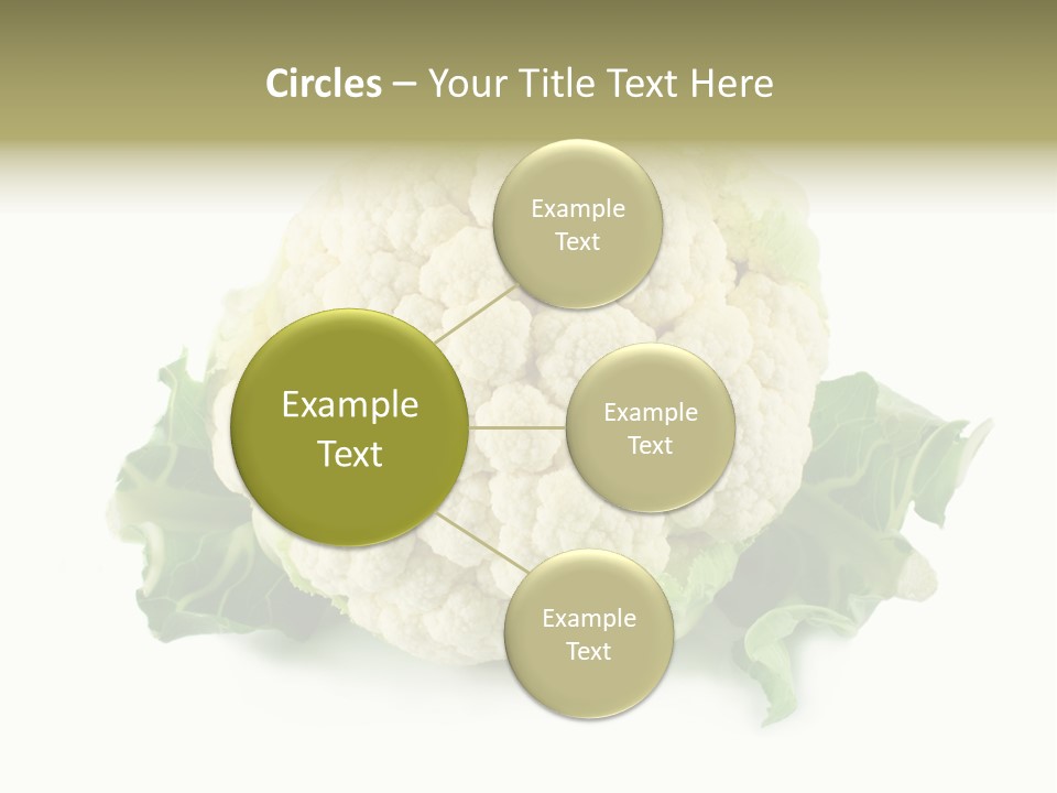 House Energy Unit PowerPoint Template