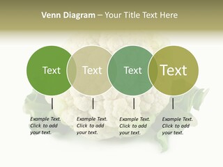 House Energy Unit PowerPoint Template