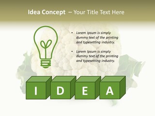 House Energy Unit PowerPoint Template