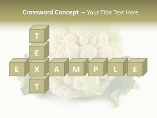 House Energy Unit PowerPoint Template