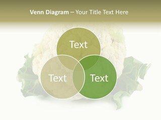 House Energy Unit PowerPoint Template