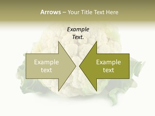House Energy Unit PowerPoint Template