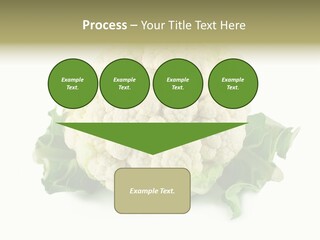 House Energy Unit PowerPoint Template