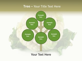 House Energy Unit PowerPoint Template