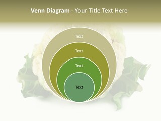 House Energy Unit PowerPoint Template