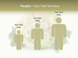 House Energy Unit PowerPoint Template