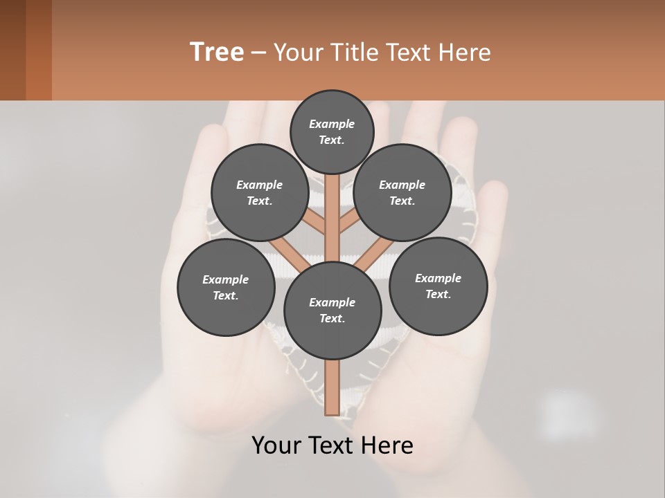 Home Electricity Equipment PowerPoint Template